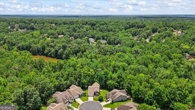 132 Sea Island Drive, Peachtree City, GA 30269