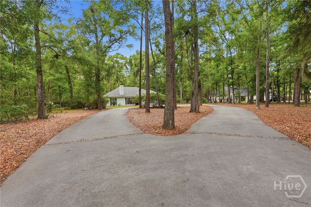 1810 Belle Island Road, Richmond Hill, GA 31324