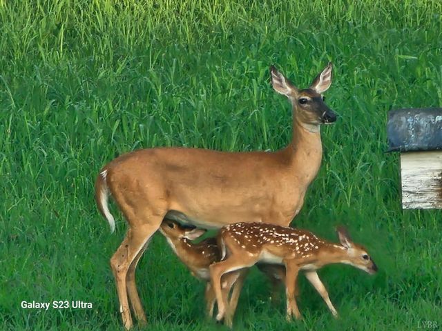 1872 Wards Road, Hurt, VA 24563