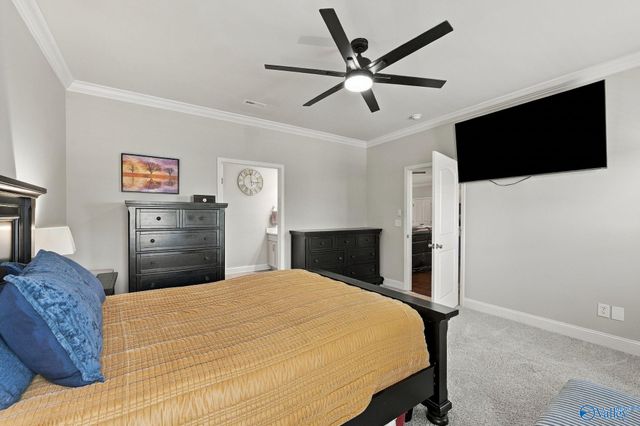 28599 Paseo Road, Madison, AL 35756