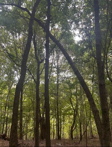 2 Cedar Bluff Road, Lafayette, TN 37083