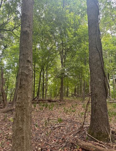 2 Cedar Bluff Road, Lafayette, TN 37083