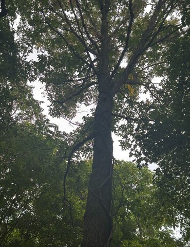 2 Cedar Bluff Road, Lafayette, TN 37083