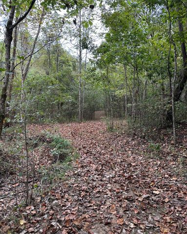 2 Cedar Bluff Road, Lafayette, TN 37083