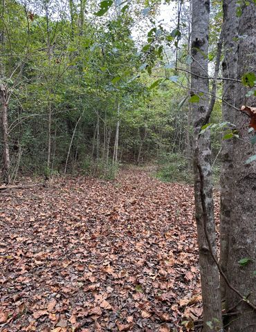 2 Cedar Bluff Road, Lafayette, TN 37083