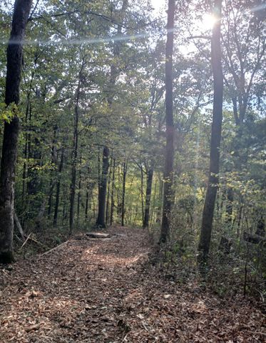 2 Cedar Bluff Road, Lafayette, TN 37083