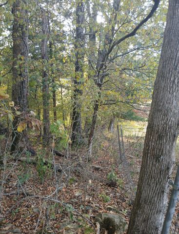 2 Cedar Bluff Road, Lafayette, TN 37083