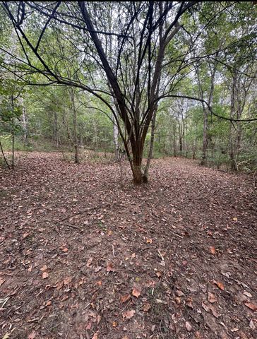 2 Cedar Bluff Road, Lafayette, TN 37083