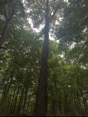 2 Cedar Bluff Road, Lafayette, TN 37083