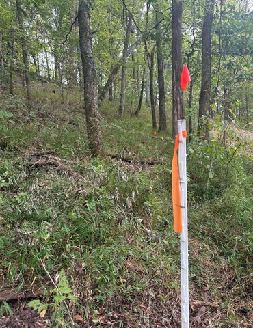 2 Cedar Bluff Road, Lafayette, TN 37083