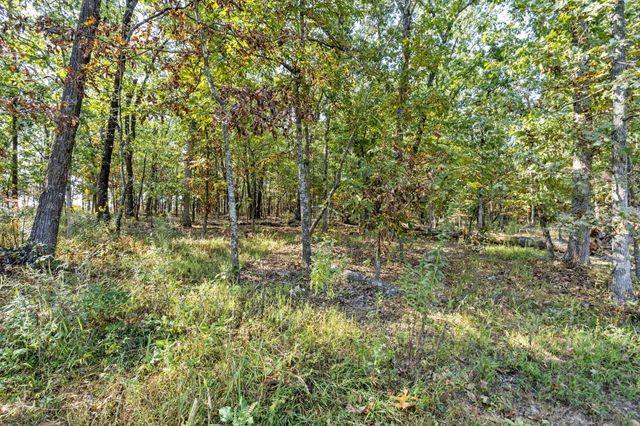 1400 State Highway Pp, Fordland, MO 65652