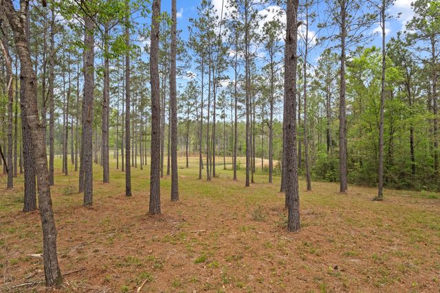 3143 County Rd 4300, Woodville, TX 75979