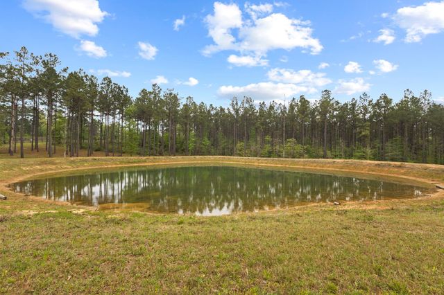 3143 County Rd 4300, Woodville, TX 75979