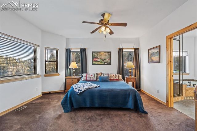 1001 E Bison Creek Trail, Divide, CO 80814