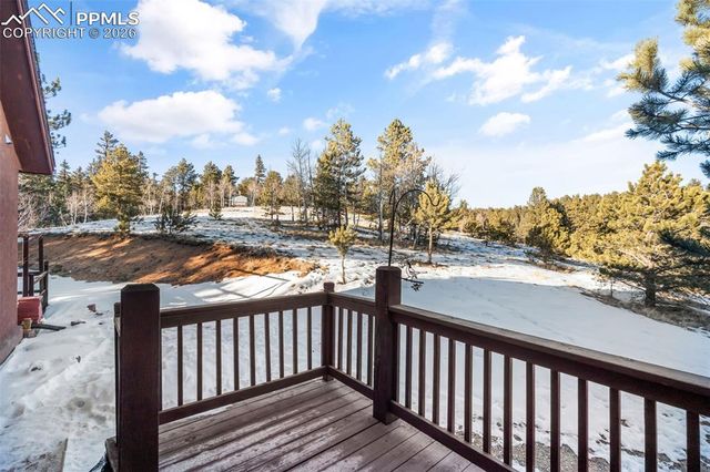 1001 E Bison Creek Trail, Divide, CO 80814