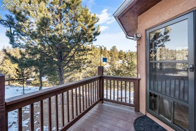 1001 E Bison Creek Trail, Divide, CO 80814