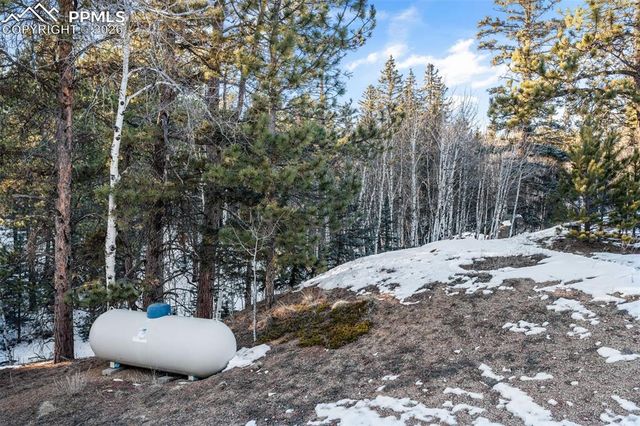 1001 E Bison Creek Trail, Divide, CO 80814