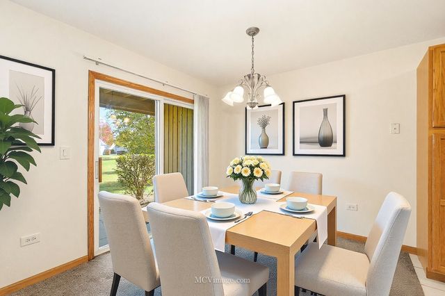 13841 S Bristlecone Drive A, Plainfield, IL 60544