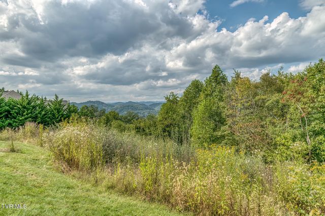 166 Parker Lane, Kingsport, TN 37660