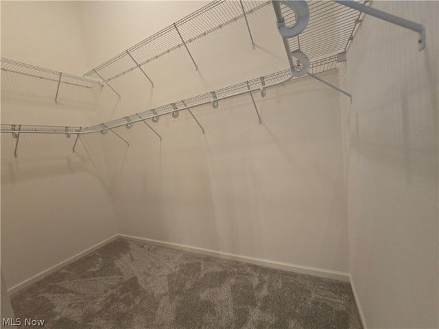 5345 Lake Forest Reserve Lane, Brunswick Hills, OH 44212