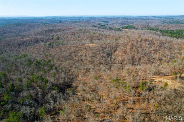 135 Madison CR 411, Fredericktown, MO 63645