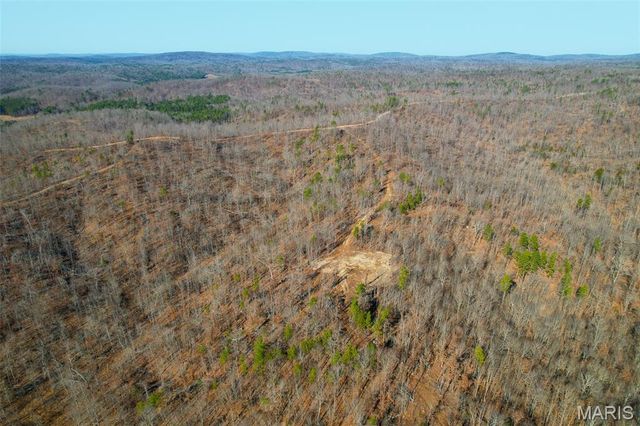 135 Madison CR 411, Fredericktown, MO 63645