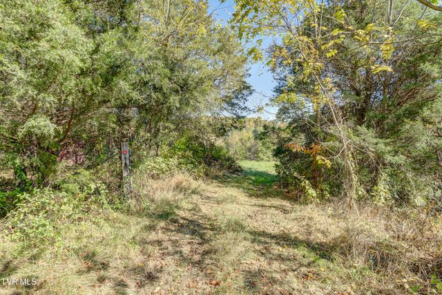 1604 Boones Creek Road, Jonesborough, TN 37659