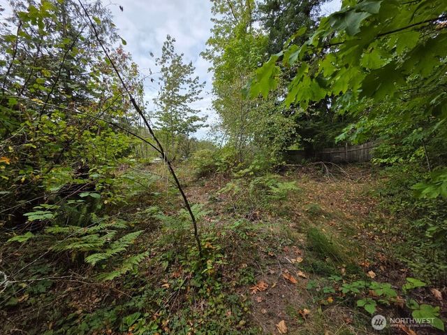 1206 Croft Avenue, Gold Bar, WA 98251