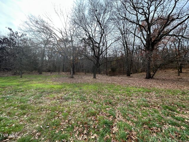 635 McDonald Road, Midway, TN 37809