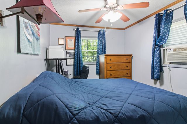 259 Joy Dr, Springville, TN 38256