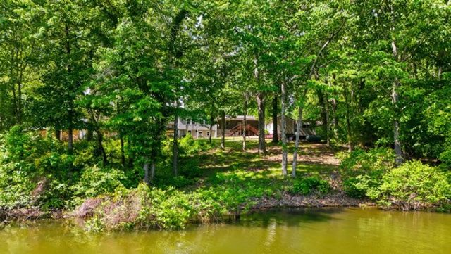 259 Joy Dr, Springville, TN 38256