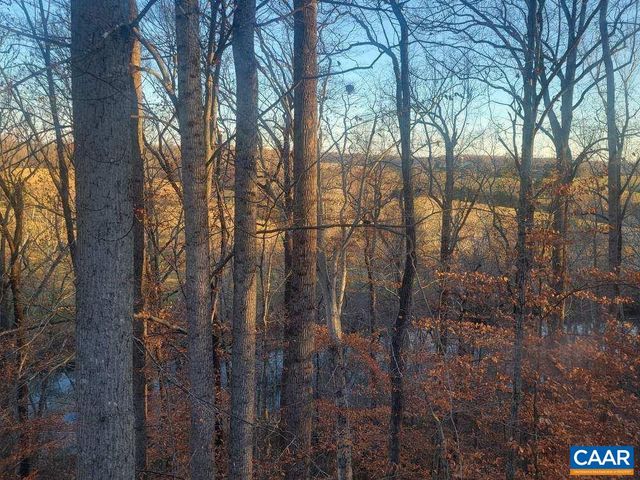 60 CHIPPEWA LN, Palmyra, VA 22963