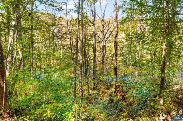 60 CHIPPEWA LN, Palmyra, VA 22963