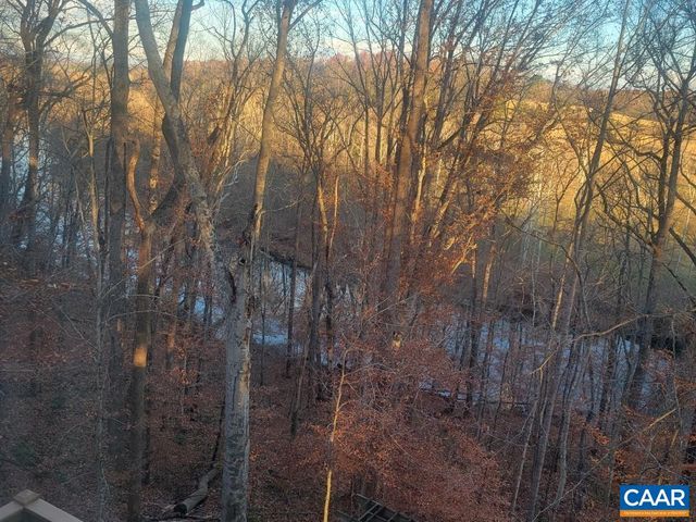 60 CHIPPEWA LN, Palmyra, VA 22963