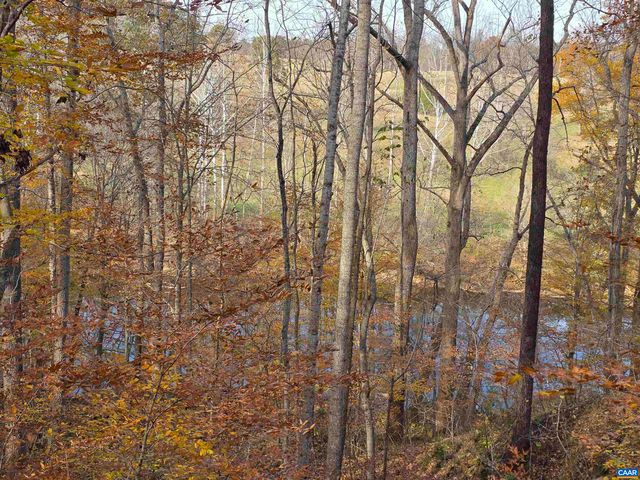 60 CHIPPEWA LN, Palmyra, VA 22963