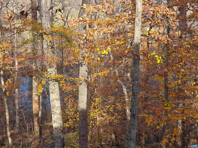 60 CHIPPEWA LN, Palmyra, VA 22963