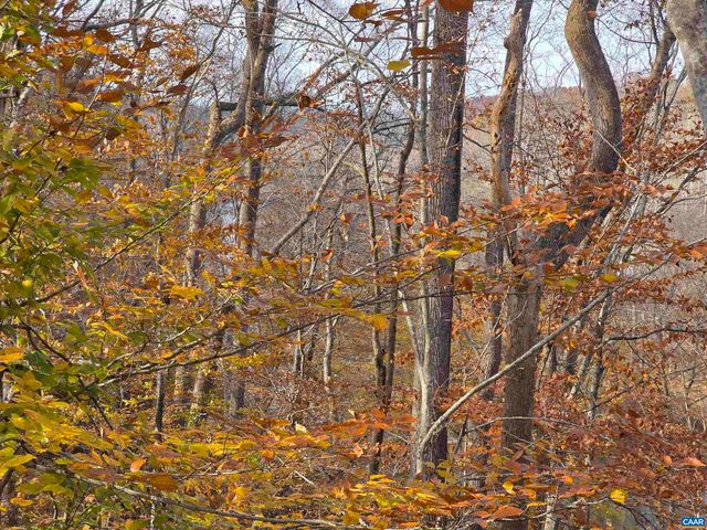 60 CHIPPEWA LN, Palmyra, VA 22963