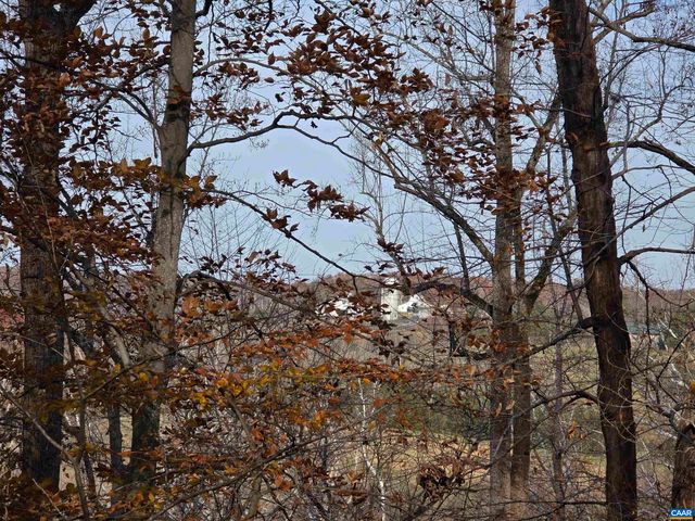 60 CHIPPEWA LN, Palmyra, VA 22963