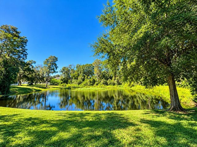13725 JUNIPER BLOSSOM DRIVE 202, Tampa, FL 33618