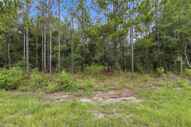 TBD BAY COURT PASS, Ocklawaha, FL 32179