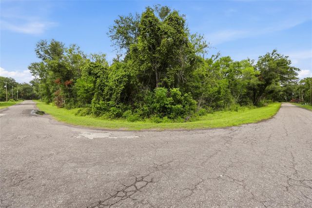 TBD BAY COURT PASS, Ocklawaha, FL 32179