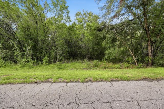 TBD BAY COURT PASS, Ocklawaha, FL 32179