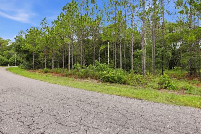 TBD BAY COURT PASS, Ocklawaha, FL 32179
