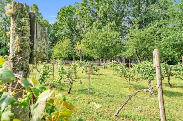 2570 Martha Washington Rd, Clarkrange, TN 38553