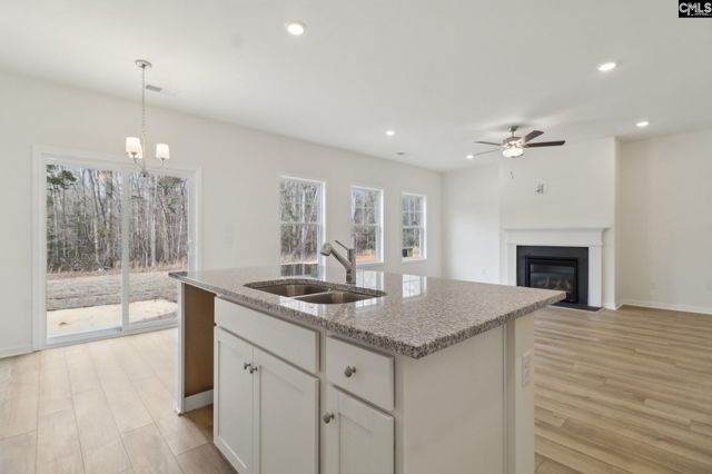 153 Dew Blossom Drive, Lexington, SC 29073