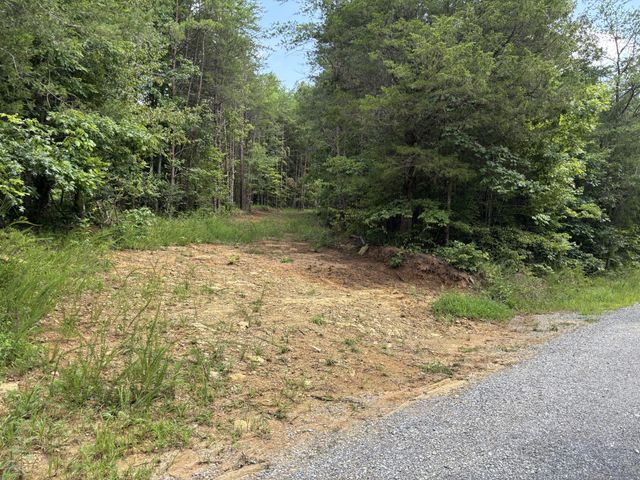 130 Tellico Camp Road, Madisonville, TN 37354