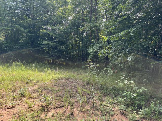 130 Tellico Camp Road, Madisonville, TN 37354
