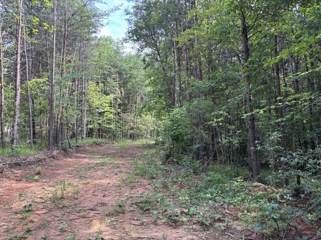 130 Tellico Camp Road, Madisonville, TN 37354