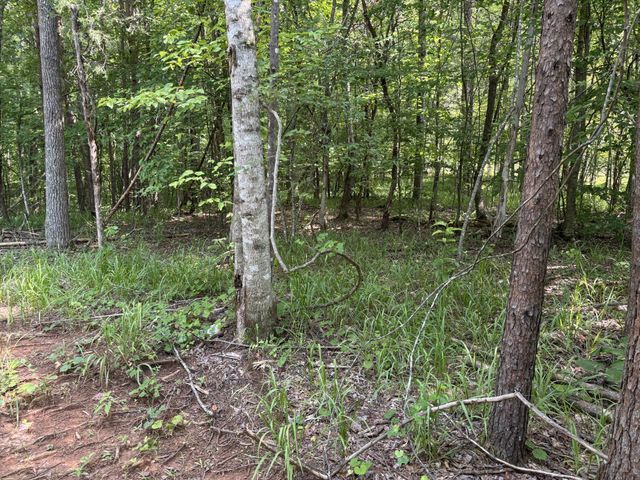 130 Tellico Camp Road, Madisonville, TN 37354