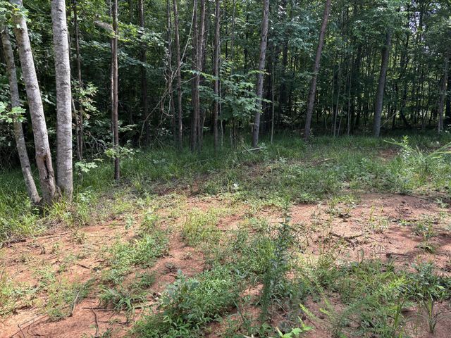 130 Tellico Camp Road, Madisonville, TN 37354